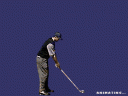swingwoods.gif